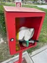 Foto segnalazione MVV-10371