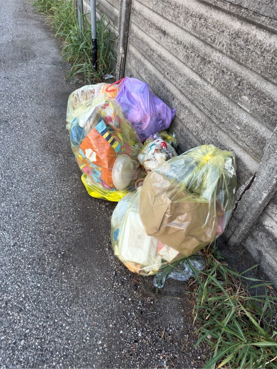 I sacchi di rifiuti contengono materiale indifferenziato che