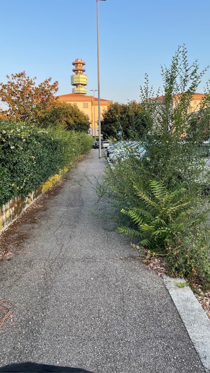 La vegetazione sta invadendo il marciapiede, riducendo lo sp